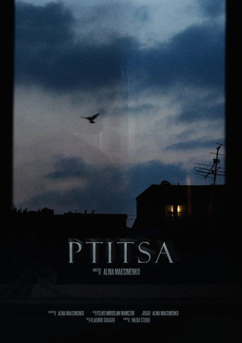 Poster for Ptitsa